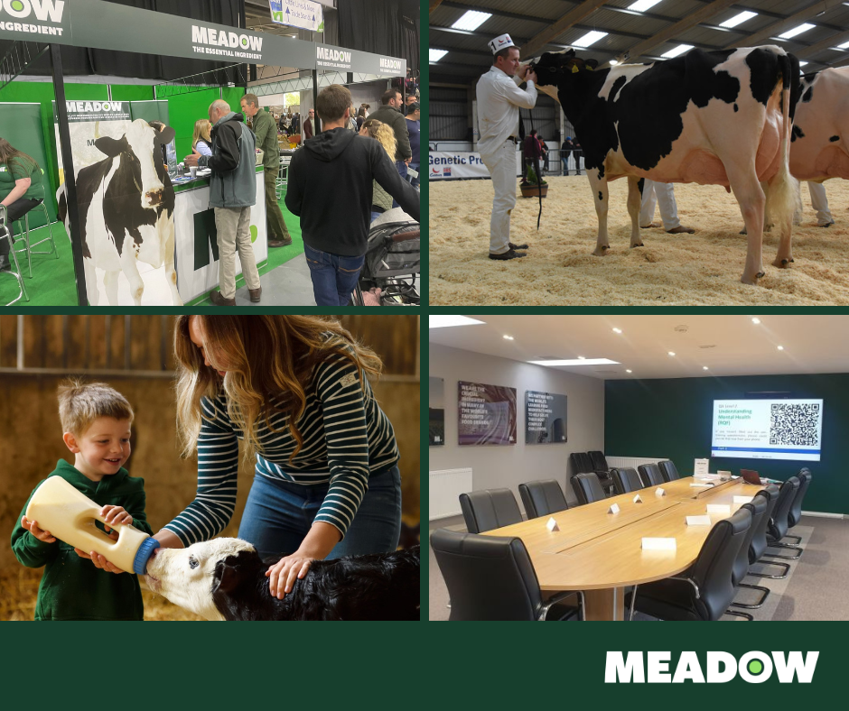 Training and Engagement: How does Meadow support its farmer network?